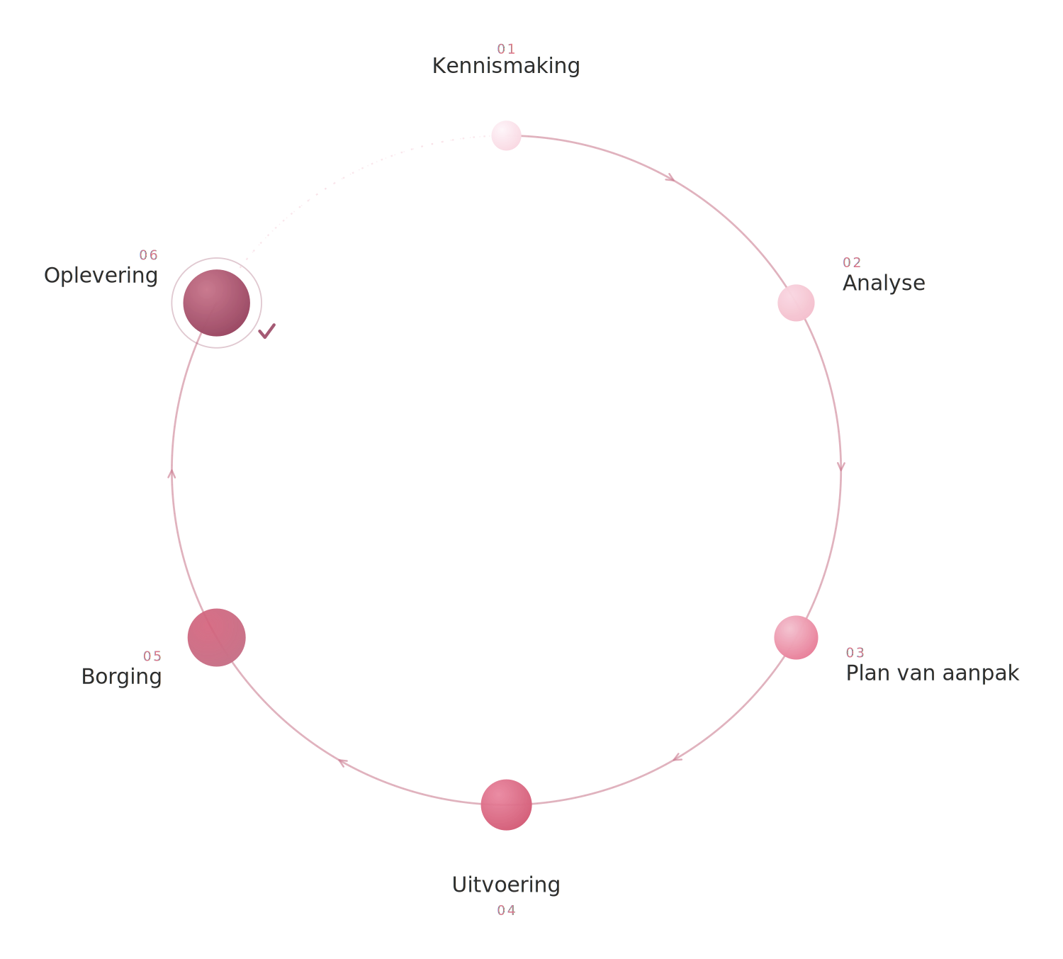 Bluso project lifecycle: Kennismaking, Analyse, Plan van aanpak, Uitvoering, Borging, Oplevering